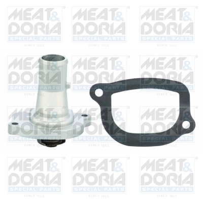 Thermostat, coolant